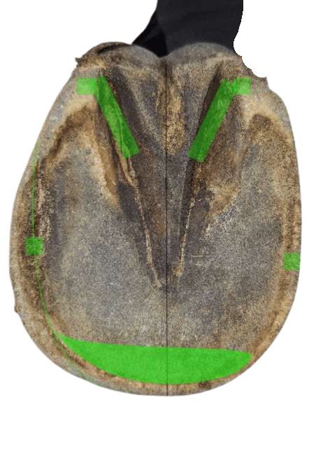 Hufanalysen
